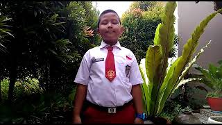 Lihat Kebunku - Lydia Lau