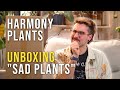10 Pro Pflanze B Ware Bei HarmonyPlants UNBOXING