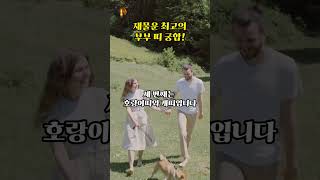 재물운 최고의 부부 띠 궁합!  #띠궁합 #풍수 #띠별운세 #사주팔자 #금전운 #돈복