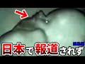 NASAから流出した恐ろしい極秘情報…日本で報道されていない海外のメディアが暴露した重大な情報と今後起きることを予言した衝撃の内容とは【都市伝説】【総集編】