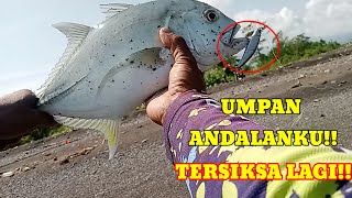 Umpan Andalan Beraksi Lagi‼️ultralight fishing