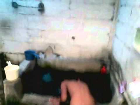 Video lucu ngintip bocah mandi