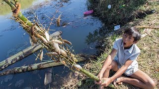 Unique Fish Trapping - Amazing Smart Boys Make Fish Trap With Brola  | Cambo Trap Weird Fish