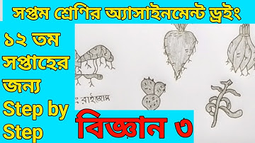 Class 7 Science Assignment 12th Week l বিজ্ঞান অ‍্যাসাইনমেন্ট সপ্তম শ্রেণি ১২ তম সপ্তাহ l Tipsclub