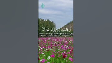 سورة الحج 73-74 | تلاوة تقشعر لها الأبدان | بصوت الشيخ ياسر الدوسري