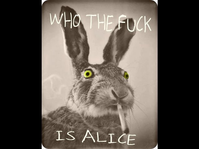 how the fuck is alice In moby dick