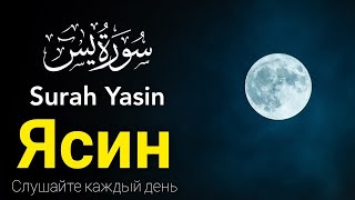 Surah Yasin (Yaseen) Full With Arabic Hd  Beautiful quran tilawat