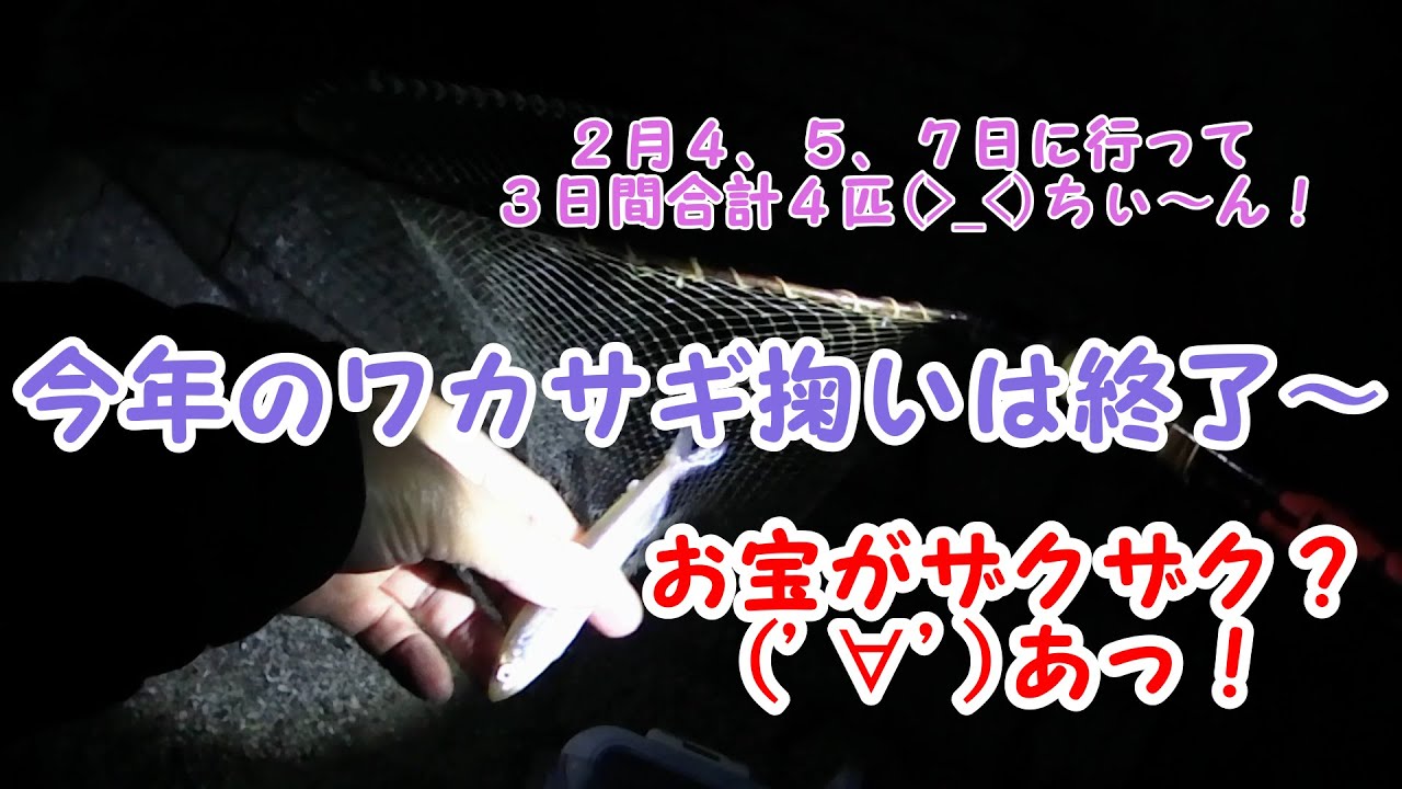 琵琶湖ワカサギ掬い2020-02-04, 05, 07  ｆｉｎａｌ