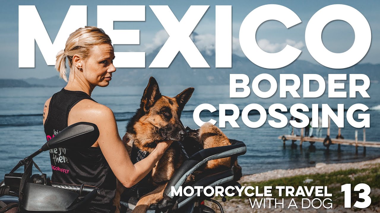 can you cross the mexican border with a dog