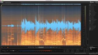 iZotope RX 5: Audio Repair for Musicians - 1. Introduction