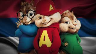 Komiran - Alvin I Vjeverice