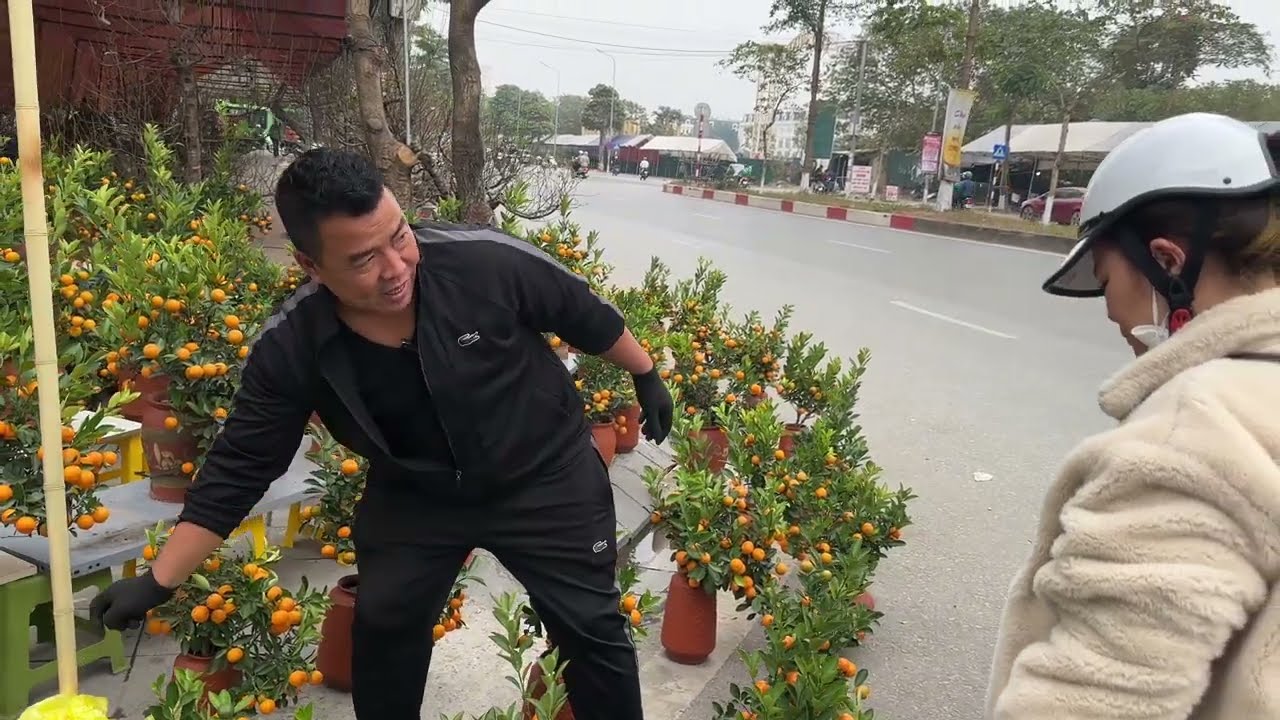 Quất tết Bonsai Tứ Liên giá cực rẻ 2025 tại chợ Đền Lừ sẵn phục vụ khách | Viet Nam Food