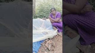 ചണട ഇടട മൻ പടചചല