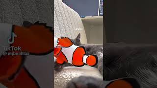 fishy