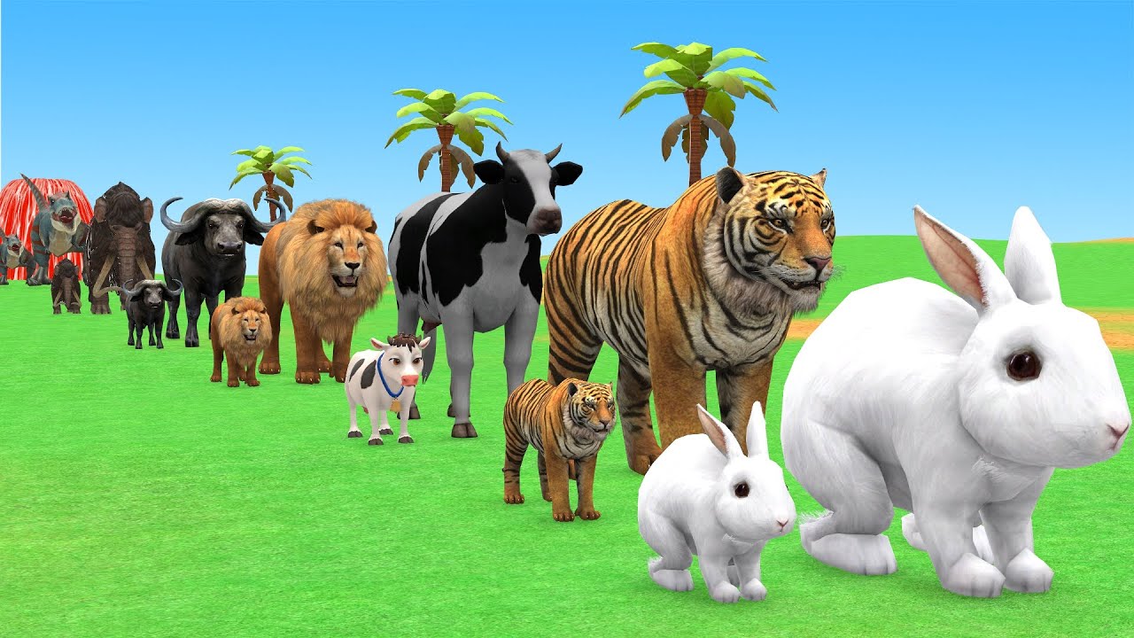 Long Slide Game with Cow Elephant Gorilla Hippopotamus Tiger 3d Animal Game Funny 3d Animals
