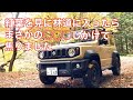 紅葉を見に林道に入ったら◯◯◯しかけて焦りました