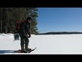 Beginning of video