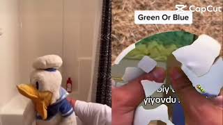 Yeşil Mi Mavimi??? Şfet Şfetbeniöneçıkart Şfetedüş