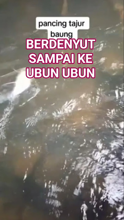 Download lagu sensasi goyangannya berdenyut sampai ke ubun ubun sampai terbawa mimpi