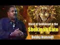 bobby hemmitt mask of sekhmaat shekina gate pt 14