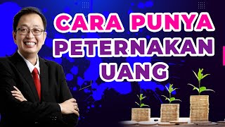 CARA AGAR PUNYA PETERNAKAN UANG!!