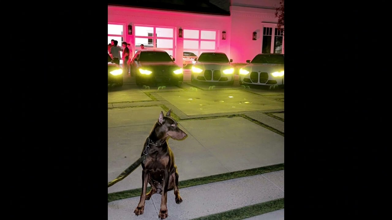 [FREE] SIDOKA x TETO x DANZO TYPE BEAT - MOZART [PROD.REAL WISE]