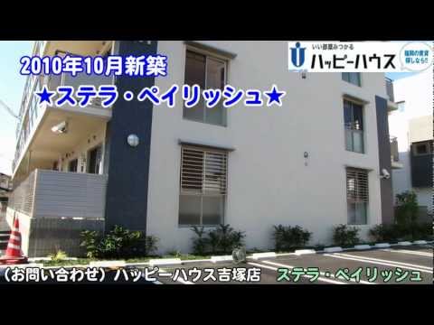 ステラ・ペイリッシュ　吉原 バス停徒歩1分 【ハッピーハウス吉塚店】