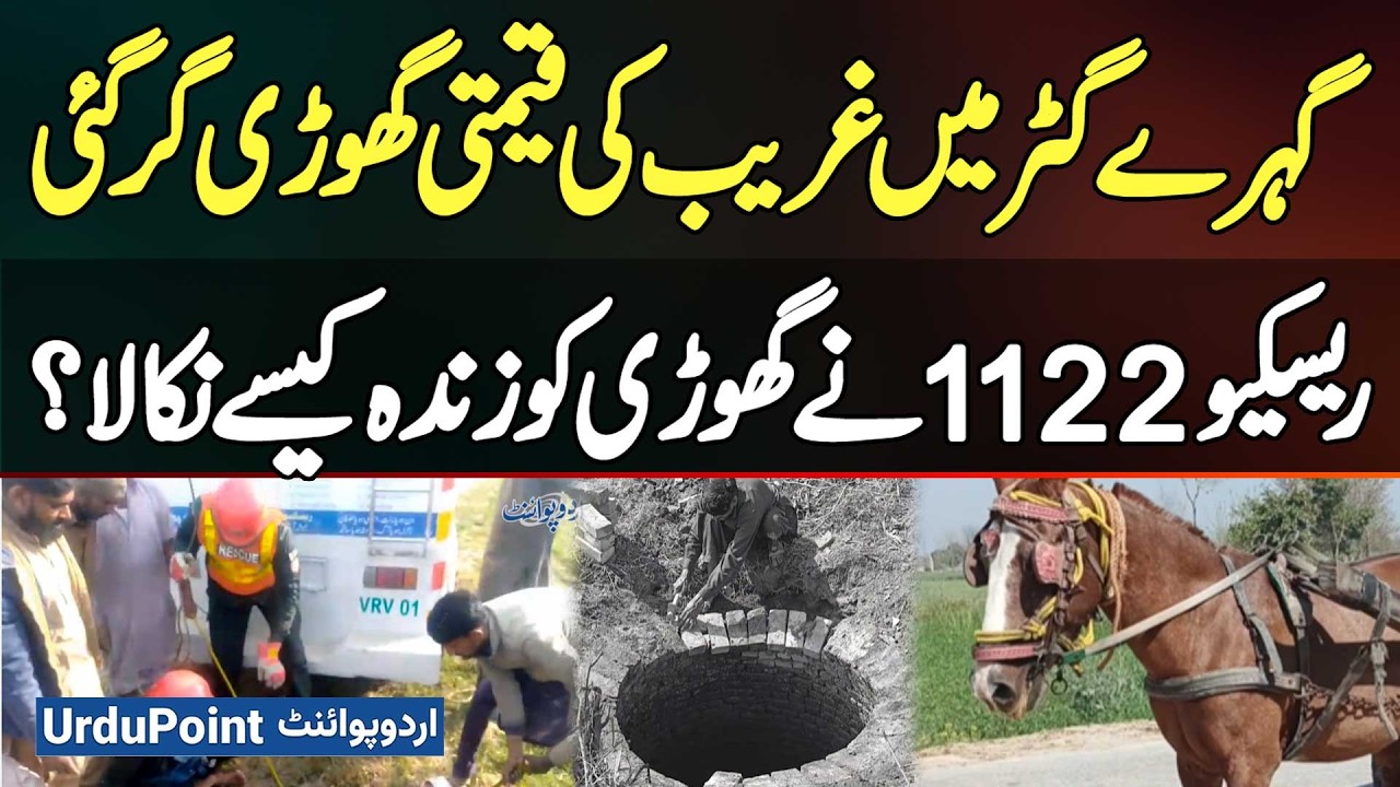Vehari: Poor Man's Horse Fell Into A Deep Gutter | How Did Rescue 1122 Pull The Mare Out Alive?