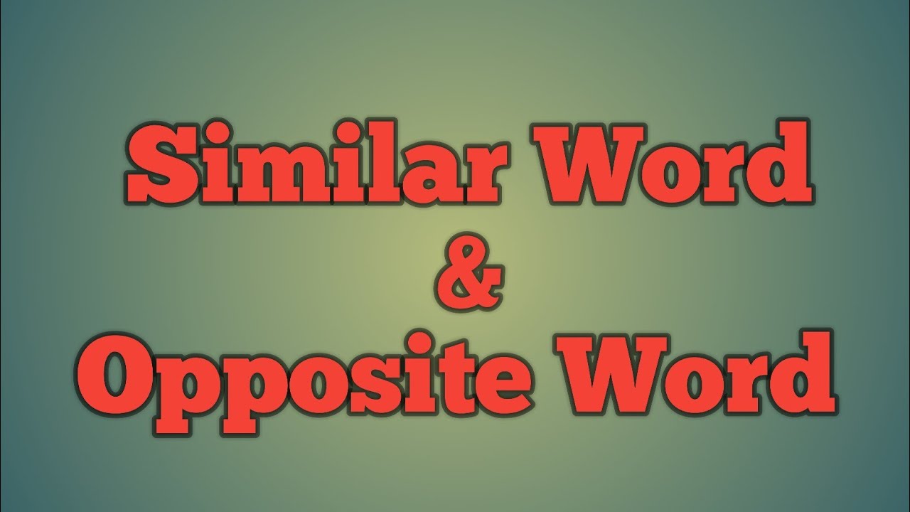 Similar Word Opposite Word YouTube