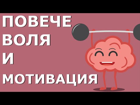 КАК ДА ИМАМЕ ПОВЕЧЕ ВОЛЯ И МОТИВАЦИЯ