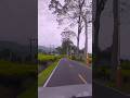 JALAN BERKELOK CIWIDEY