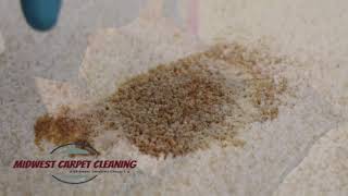 Midwest Carpet Cleaning KC