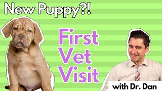 New Puppy?!  Your First Veterinary Visit.  What to Expect.