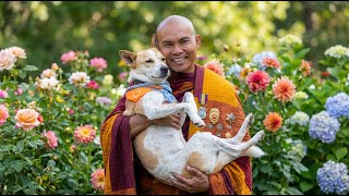 The Dog Who Walked Across America: 3,000 Miles of Songs &amp; Stories