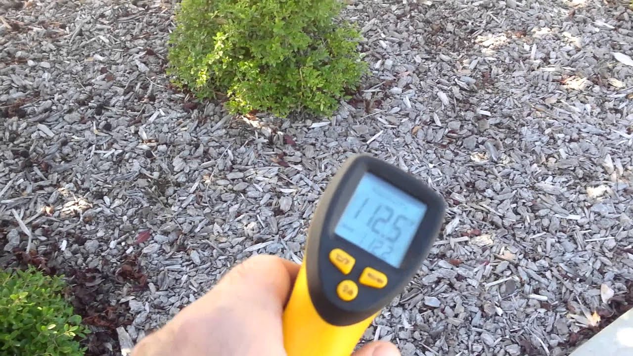 Dog Paws on Hot Pavement! Traveling with Mr. Bear YouTube