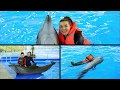 Дельфинарий. Мечта моих 29 лет. Ярославль 2019. Плавание с дельфинами.
