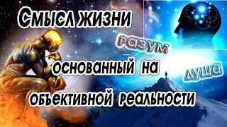 Смысл жизни основанный на объективной реальности