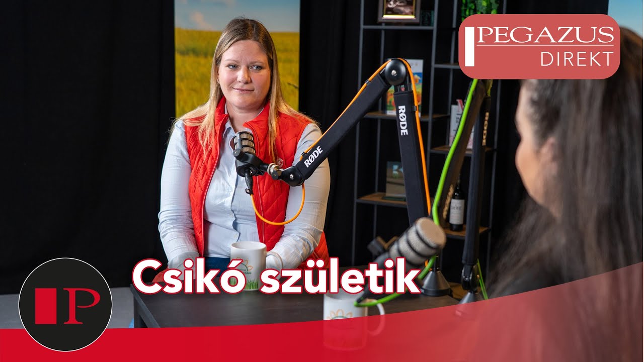 Fedeztetés, vemhességgondozás, ellés, csikónevelés | Dr. Vincze Boglárka | Pegazus Direkt XVIII.