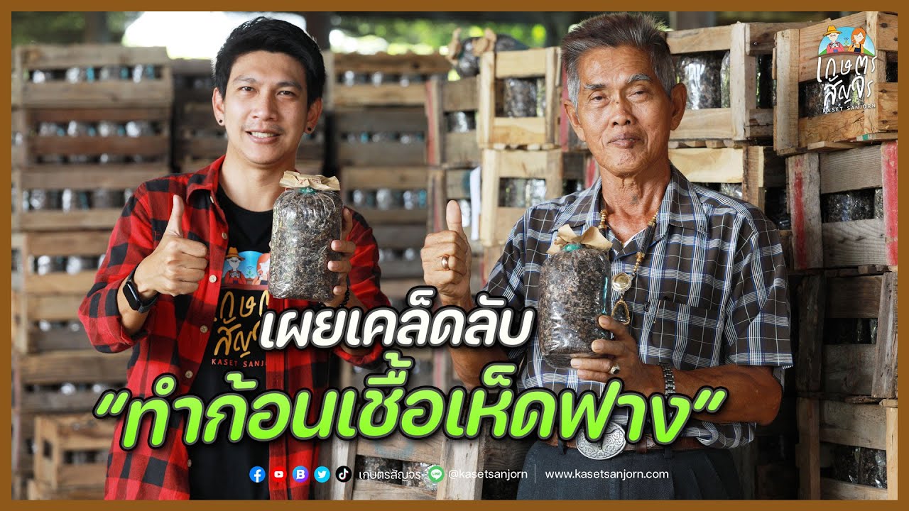 เผยเคล็ดลับทำ 
