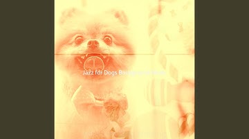 Pulsating Ambience for Well Behaved Dogs