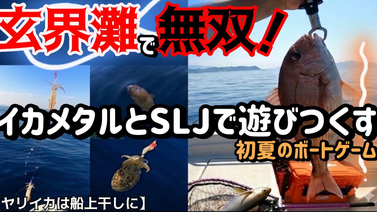 レガーメ　無双　イカメタル早い者勝ち❣️値下げ中　早い者勝ち！ 玄界灘無双❗️『漁港から30分の海で』イカメタルとSLJで遊び尽くす