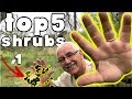 TOP 5 Fruiting SHRUBS for your Garden or Permaculture Orchard! (2020)