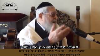 פרשת &#39;בראשית&#39;, חובת קריאת שניים מקרא ואחד תרגום! - מרן רבנו הגדול חכם עובדיה יוסף זיע&quot;א