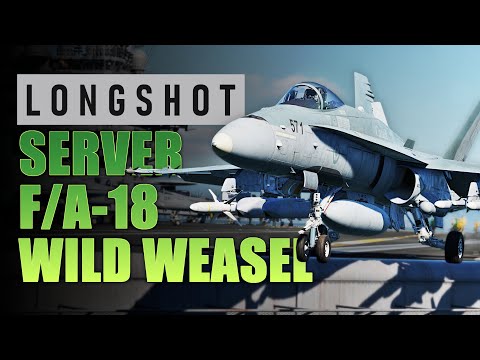 F/A-18 Testing the LongShot Server | DCS | Multiplayer | SEAD | Amazing Graphics