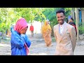 Jadid Darartuu Nat Herumi Wan Fete Na Gafadhu Jedhee Kadhate 