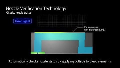 Epson ColorWorks C7500 | Take the Tour of the Industrial Color Label Printer