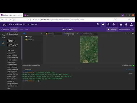 Code In Place 2021 - Final Project - Forest Change