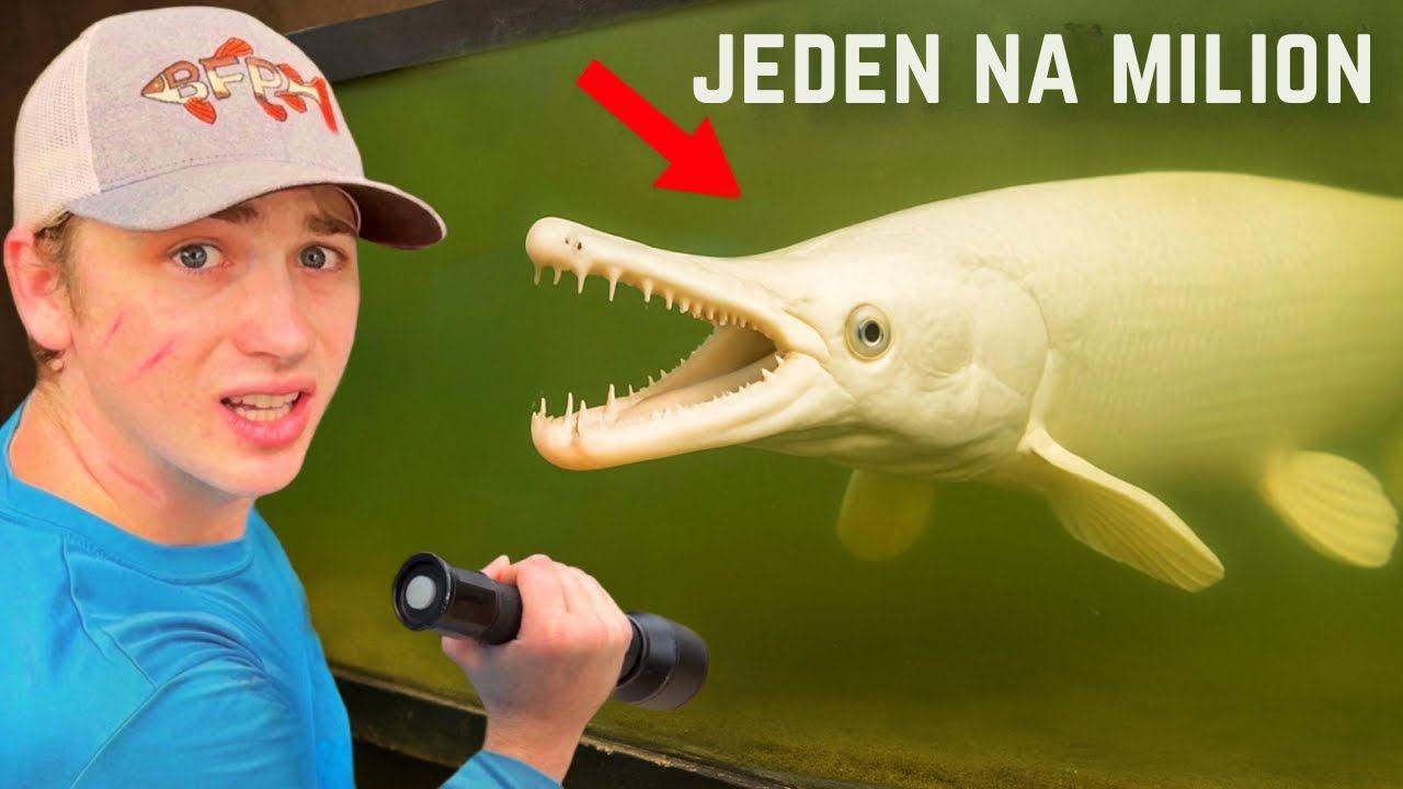 Kupiłem najrzadszą rybę na świecie!