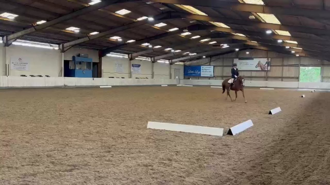 65% come back but a cracking lesson.