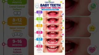 🦷 When Do Baby Teeth Come In? 👶